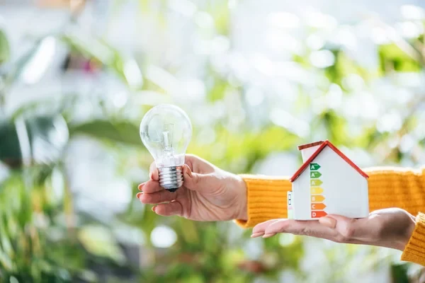 Empieza hoy a mejorar la eficiencia energética de tu hogar y ahorra en tu cuenta de luz
