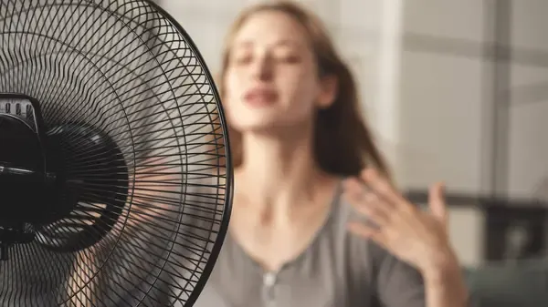 Cuidar el calor en casa una inversión en bienestar y eficiencia